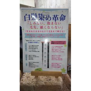 白髪染め革命