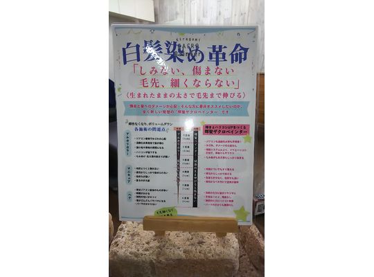 白髪染め革命